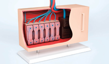 在线DDOS平台攻击